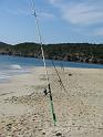 082 le canne sarde